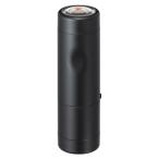 シヤチハタ データーネームEＸ12号本体ブラック 赤 XGL-12H-R 1個