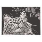 アーテック スクラッチボード枠なし紙製 13177