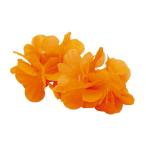 アーテック はなの腕輪 小 オレンジ 3214