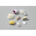 アーテック ミックスシェル 10ｇ 小袋入り 47582