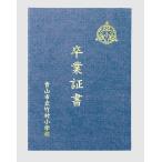 a- Tec сертификат файл высококлассный ткань . способ B4 темно-синий 5720