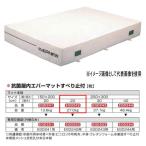 eba новый антибактериальный закрытый ever коврик скольжение останавливаться есть EGD242 200×300cm 20cm толщина 