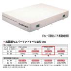 eba новый антибактериальный закрытый ever коврик скольжение останавливаться есть EGD243 200×300cm 30cm толщина 