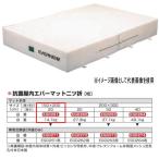 eba новый антибактериальный закрытый ever коврик 2 tsu.EGD261 150×200cm 20cm толщина 