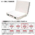 eba новый антибактериальный закрытый ever коврик 2 tsu. скольжение останавливаться есть EGD283 200×300cm 30cm толщина 