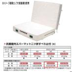 eba новый антибактериальный закрытый ever коврик 2 tsu. скольжение останавливаться есть EGD283 для специальный замена пакет EGD293