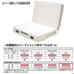 eba новый антибактериальный закрытый ever коврик 2 tsu. скольжение останавливаться есть EGD284 для специальный замена пакет EGD294