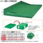 eba новый ever сетка пассажирский коврик EGD413 ширина 200× длина 300× коврик толщина 10× общий высота 40cm