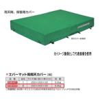 eba новый ever коврик для дождливая погода покрытие EGD422 ширина 200× длина 400× толщина 30cm