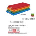 エバニュー エコ・カラーコンビマットすべり止付 EKM018 幅 120×長300cm 厚5cm