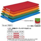 エバニュー エコ・抗菌カラーマットすべり止付 EKM028 幅 120×長300cm 厚5cm