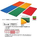 エバニュー エコカラーマットジョイント式すべり止付 EKM060 幅60×長120cm 厚5cm