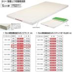 エバニュー 5cm厚 抗菌合成 スポンジマット EKM112 幅120×長240cm 6号帆布