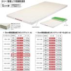 エバニュー 5cm厚 抗菌合成 スポンジマット EKM114 幅120×長360cm 6号帆布