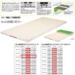 エバニュー 6cm厚合成スポンジコンビマット EKM333 幅120×長300cm 9号帆布