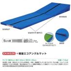 エバニュー 軽量エコアングルマット EKM526 幅90×長120cm 厚5〜25cm
