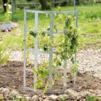  on Lee one Club сад поддержка (S) RT3-TN007