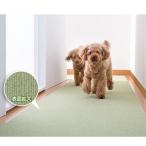 サンコー おくだけ吸着 ペット用床保護マット グリーン KM-58 60×240cm 約4mm厚