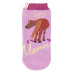  бутылка покрытие столица ... . лошадь ( лиловый ) KATOKOA mamorukato core mamoru пластиковая бутылка покрытие подарок подарок 2025SS