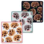 she Neal тканый носовой платок игрушка пудель лента GUGU WORLDg-g- world собака собака носовой платок подарок подарок 