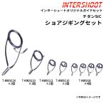 ショアジギング ガイドセット チタ