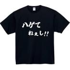 はげてねぇし tシャツ おもしろtシャツ 面白いtシャツ おもしろ メンズ 半袖 プレゼント パロディ ハゲてねぇし 文字 ふざけT 服