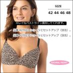 ブラジャー  3/4カップブラジャー  パット有り ワイヤー入り　アニマルプリント(Animal Print)　(46)E85サイズ　427011