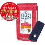 セレクトバランス パピー チキン 小粒 子犬・母犬用 7kg【犬想いオリジナル今治ハンドタオルプレゼント】【タオルカラー ネイビー】