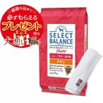 セレクトバランス パピー チキン 小粒 子犬・母犬用 7kg【犬想いオリジナル今治ハンドタオルプレゼント】【タオルカラー ホワイト】