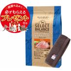 【ポイント10倍】セレクトバランス グレインフリー アダルトチキン 小粒 6kg【犬想いオリジナル今治ハンドタオルセット】【タオルカラー モカ】【正規品】