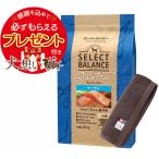 セレクトバランス グレインフリー アダルトサーモン 小粒 6kg【犬想いオリジナル今治ハンドタオルプレゼント】【タオルカラー モカ】
