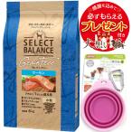セレクトバランス グレインフリー アダルトサーモン 小粒 6kg【プレゼント ぺたんこボウル ピンク付】