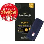 【プレゼント付】ブラックウッド パピー 20kg【犬想いオリジナル今治ハンドタオルセット】【タオルカラー ネイビー】【正規品】