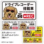 ステッカー （(日本語) ドラレコ グラサン 大1枚小2枚 ） 長方形  ゴールデンレトリバー シール 犬屋 オリジナル 犬 ドッグ ドラレコ