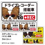 ステッカー （(日本語) ドラレコ グラサン 大1枚小2枚 ） 長方形  パピヨン シール 犬屋 オリジナル 犬 ドッグ ドラレコ