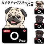  камера собака стикер вырезки модель Pug собака регистратор пути (drive recorder) симпатичный автомобильный do RaRe ko борт движение предотвращение окно видеозапись .... симпатичный собака магазин ... type .