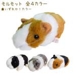 犬 リアル モルモット ぬいぐるみ 3種 ラッピング 雑