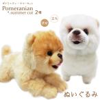 pomelani Anne summer cut мягкая игрушка крем белый .... собака игрушка смешанные товары товары . день рождения белый легкий чай orange .. праздник Halloween 