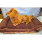 [ outlet!]s Lee Arrows " тигр bar диван-кровать " ( Brown )M размер 