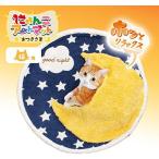 [ outlet!]kya чай man (CattyMan).... искусство коврик . есть ..