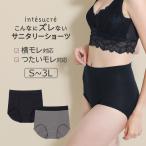 アンテシュクレ intesucre こんなにズレないサニタリーショーツ ウイング対応 S/M/L/LL/3L TSE005B