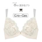 ワコール 小さく見せるブラ （メッシュ） BRB329シリーズ ブラジャー単品 Gカップ アンダー70/75/80/85cm BRB329