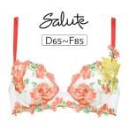 ワコール サルート 11グループ 11G ブラジャー単品 P-upタイプ DEFカップ アンダー65/70/75/80/85cm BTJ411