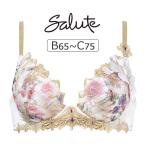 ワコール サルート 17グループ 17G ブラジャー単品 VIVA LINEブラ BCカップ アンダー65/70/75cm BTJ417