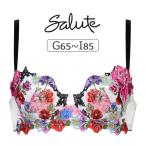 ワコール サルート 60グループ 60G ブラジャー単品 P-upタイプ GHIカップ アンダー65/70/75/80/85cm BTJ460