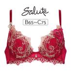 【'24秋冬新作】ワコール サルート 70G ブラジャー単品 VIVA LINEブラ BCカップ アンダー65/70/75cm BTJ470