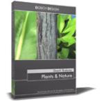 DOSCH Textures - Plants &amp; Nature(DT-PN)