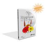 XfrogPlants Flowers 2ʲ2 Version 2