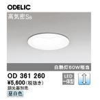 【即納・在庫品】 ダウンライト 100�