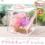 プリザーブドフラワー 母の日 誕生日 カーネーション プレゼント ギフト 花 お祝い 結婚祝い ブリザード フラワー